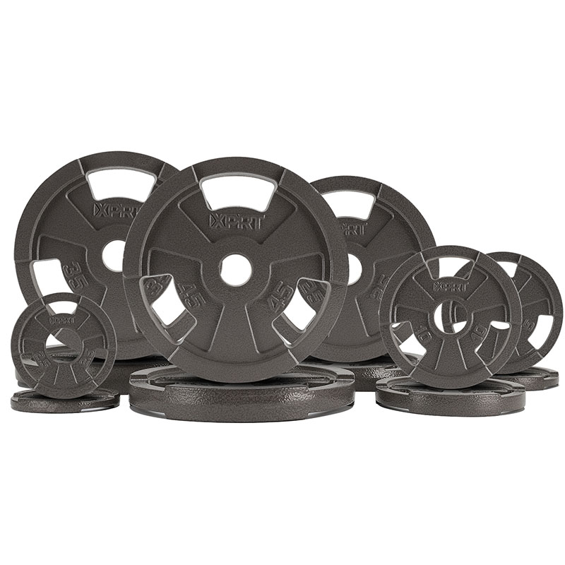 Professional 300LB Cast Iron B - Home Gym Weight recension och pris