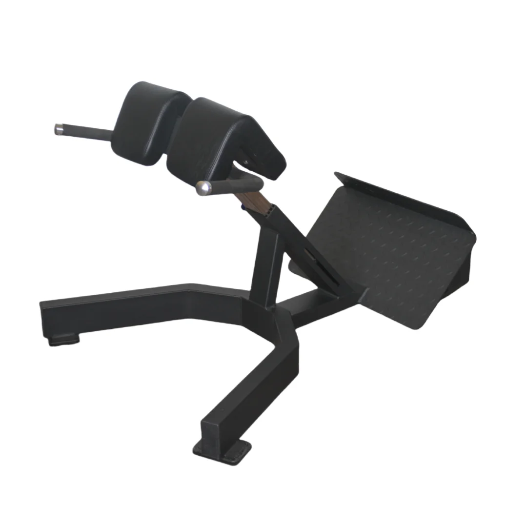 Factory Price Roman Chair Back - Home Gym Price recension och pris
